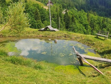 Jezero ob panoramski cesti | Jezera Slovenije | Moja jezera