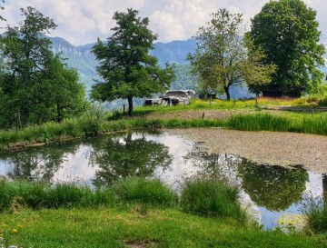 Jezeri kmetije Žibovt | Jezera Slovenije | Moja jezera