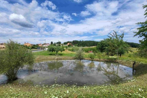 Jezerce butari slovenska jezera jezera slovenije moja jezera manca korelc 2