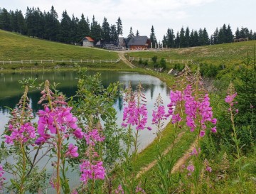 Jezera na Golteh | Jezera Slovenije | Moja jezera