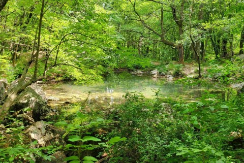Vitovsko jezero slovenska jezera jezera slovenije moja jezera manca korelc 1