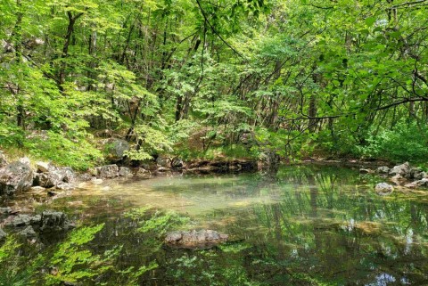 Vitovsko jezero slovenska jezera jezera slovenije moja jezera manca korelc 2