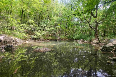 Vitovsko jezero slovenska jezera jezera slovenije moja jezera manca korelc 4