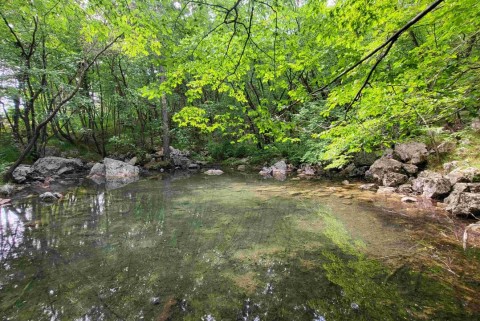 Vitovsko jezero slovenska jezera jezera slovenije moja jezera manca korelc 6