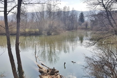 Renski ribnik jezera slovenije slovenska jezera moja jezera manca korelc 1