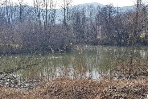 Renski ribnik jezera slovenije slovenska jezera moja jezera manca korelc 7