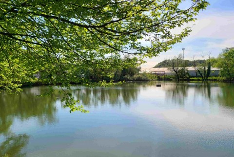 Volcjedrazensko jezero jezera slovenije slovenska jezera moja jezera manca korelc 5