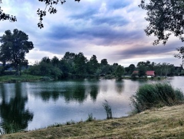 Trževski ribnik | Moja jezera | Manca Korelc