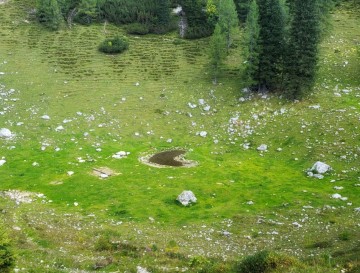 Kali okoli Blejske koče | Jezera Slovenije | Moja jezera