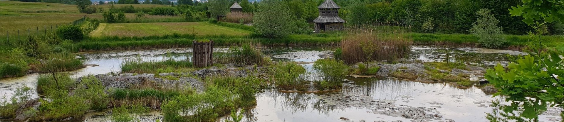 Vodomcev gaj visit grosuplje jezera slovenije slovenska jezera moja jezera manca korelc 3 sl