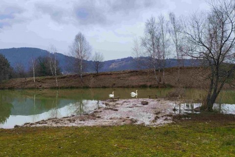 Glinokopi zalog ucna pot straza novo mesto jezera slovenije moja jezera slovenska jezera manca korelc 4