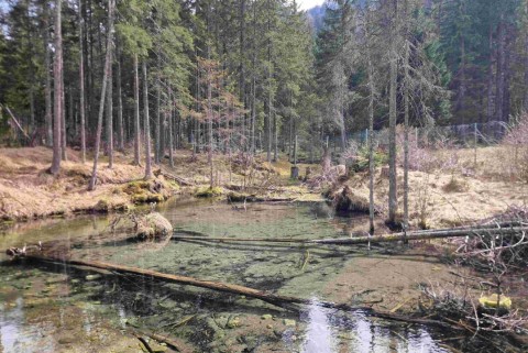 Jezersko jezera slovenije slovenska jezera moja jezera manca korelc 3