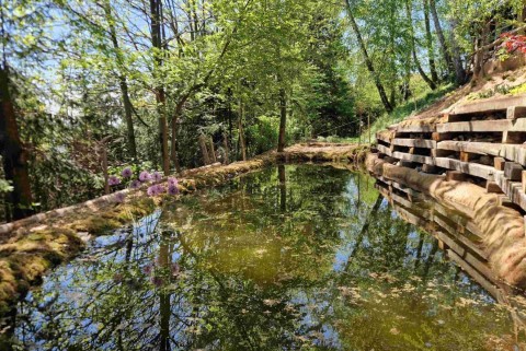 Park zeleni raj slovenska jezera jezera slovenije moja jezera manca korelc 2