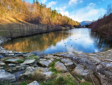 Zreško jezero | Jezera Slovenije | Moja jezera
