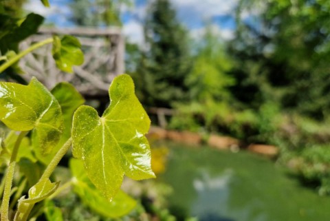 Park zeleni raj slovenska jezera jezera slovenije moja jezera manca korelc 4