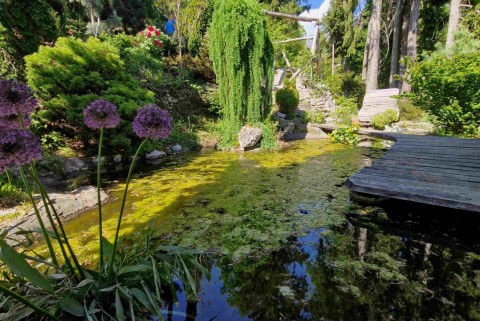 Park zeleni raj slovenska jezera jezera slovenije moja jezera manca korelc 7