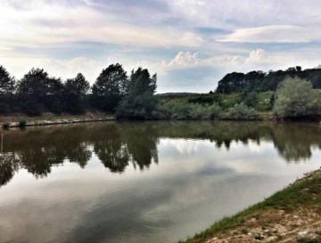 Ribnik v Borovcih | Moja jezera | Manca Korelc