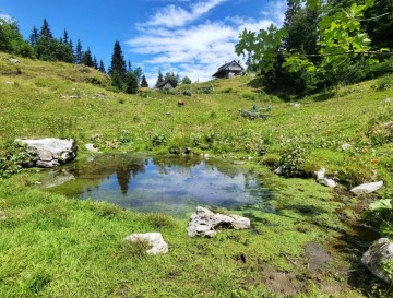 Kal ob Orožnovi koči | Jezera Slovenije | Moja jezera