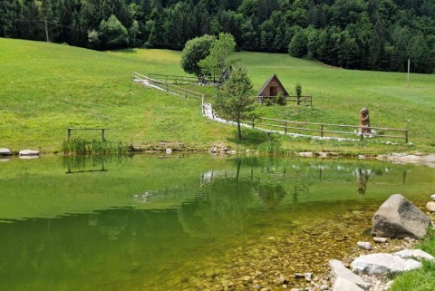 Ribnik domacije vrhovc davca jezera slovenije slovenska jezera moja jezera manca korelc 5