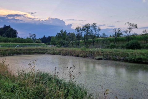Jezero ruse jezera slovenije slovenska jezera moja jezera manca korelc 4