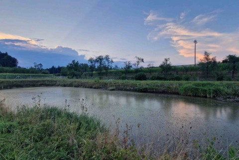 Jezero ruse jezera slovenije slovenska jezera moja jezera manca korelc 5