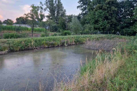 Jezero ruse jezera slovenije slovenska jezera moja jezera manca korelc 6