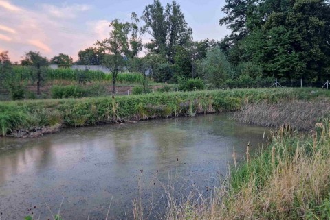 Jezero ruse jezera slovenije slovenska jezera moja jezera manca korelc 7