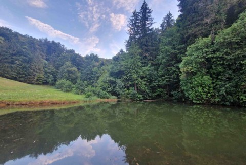Ribnik zavrsje orle podmolnik jezera slovenije slovenska jezera moja jezera manca korelc 1