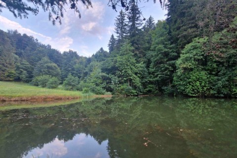 Ribnik zavrsje orle podmolnik jezera slovenije slovenska jezera moja jezera manca korelc 4