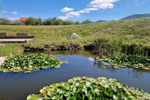Bajer bruhanja vas slovenska jezera jezera slovenije moja jezera manca korelc 2