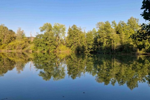 Ribnik plastenka slovenska jezera jezera slovenije moja jezera manca korelc 1