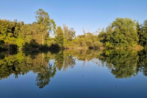 Ribnik plastenka slovenska jezera jezera slovenije moja jezera manca korelc 4
