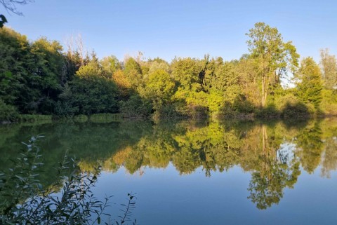 Ribnik plastenka slovenska jezera jezera slovenije moja jezera manca korelc 5