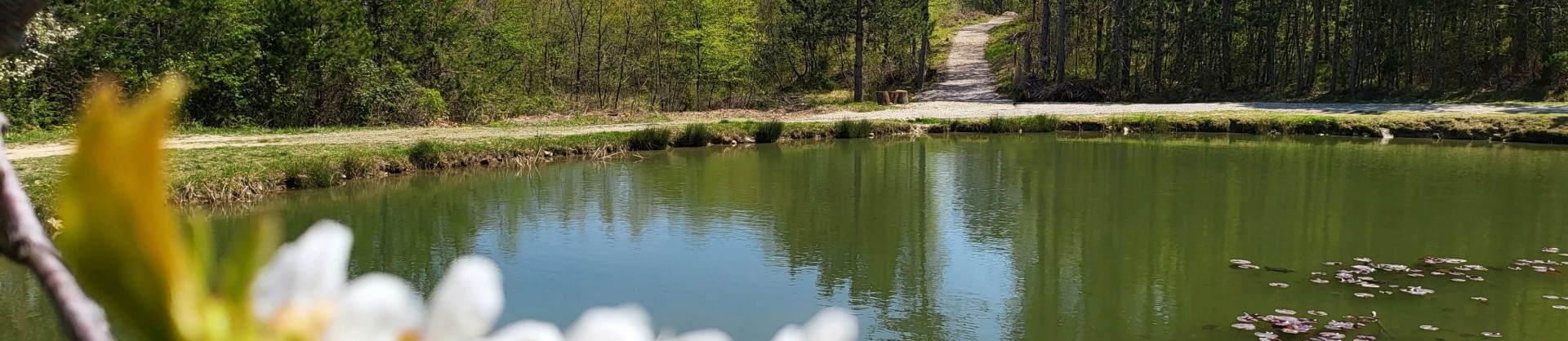 Jezero galantici slovenska istra moja jezera manca korelc 2 sl