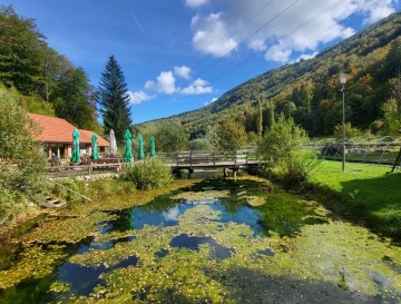 Ribniki Stranice | Jezera Slovenije | Moja jezera