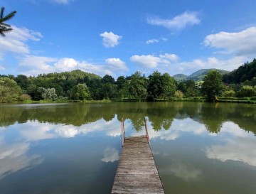 Ribnik v Mrzlem polju | Jezera Slovenije | Moja jezera