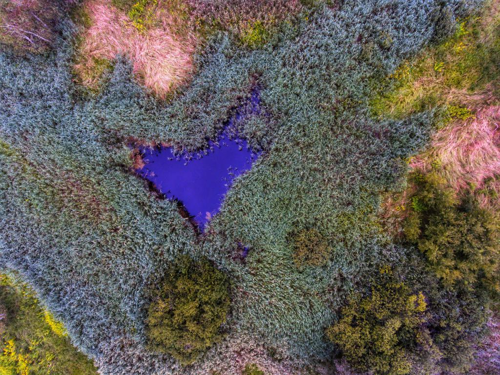 Kočevsko jezero srčkasto jezerce