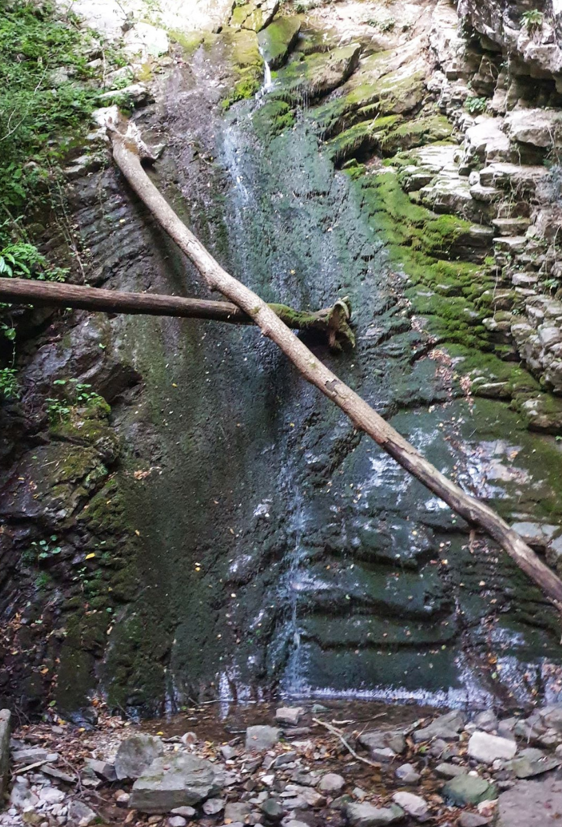 slapovi sopotnice